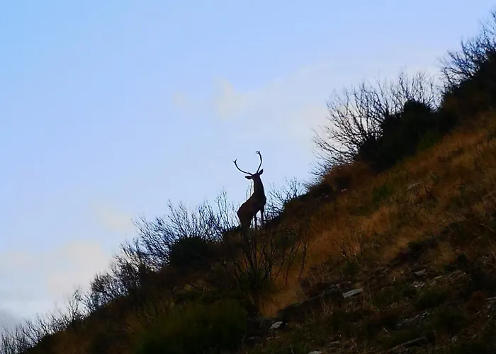 Em Xisto - Casas De Montanha - Casa T0 Hétvégi ház Góis